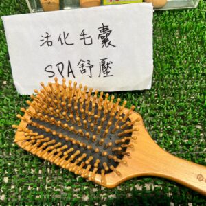 經典碳化竹針手工按摩梳